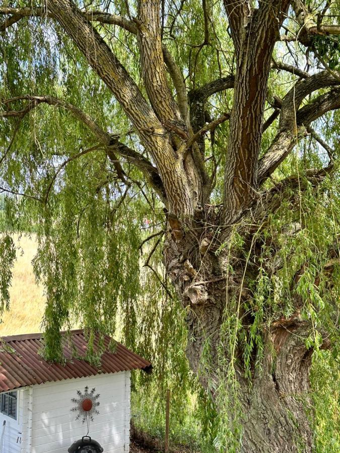 Maison Bourbonnaise Idealement Placee Proche Du Centre Ville De Moulins Neuvy  Eksteriør bilde
